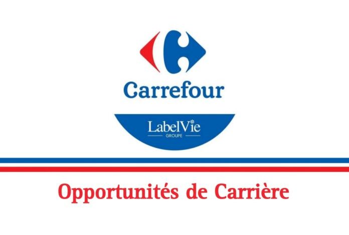 Carrefour : Opportunités d'Emploi Variées dans la Grande Distribution